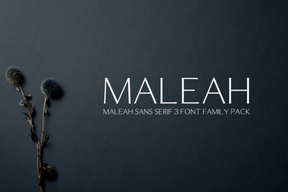 Maleah Sans Serif Font