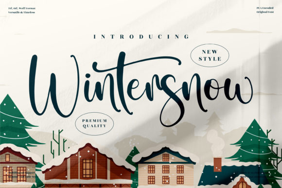 Wintersnow-Fonts-16233482-1-1-580x387 (1)
