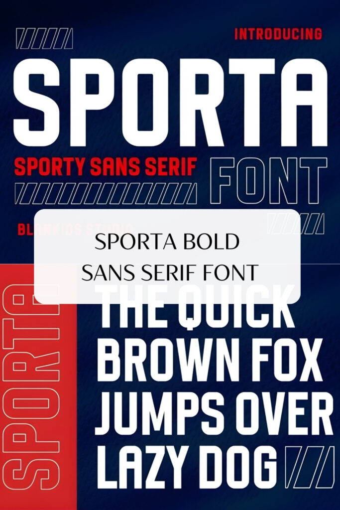 Santa Catalina Script Font (43)