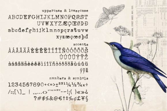 Unexpected-Typewriter-Fonts-24092043-2-580x386